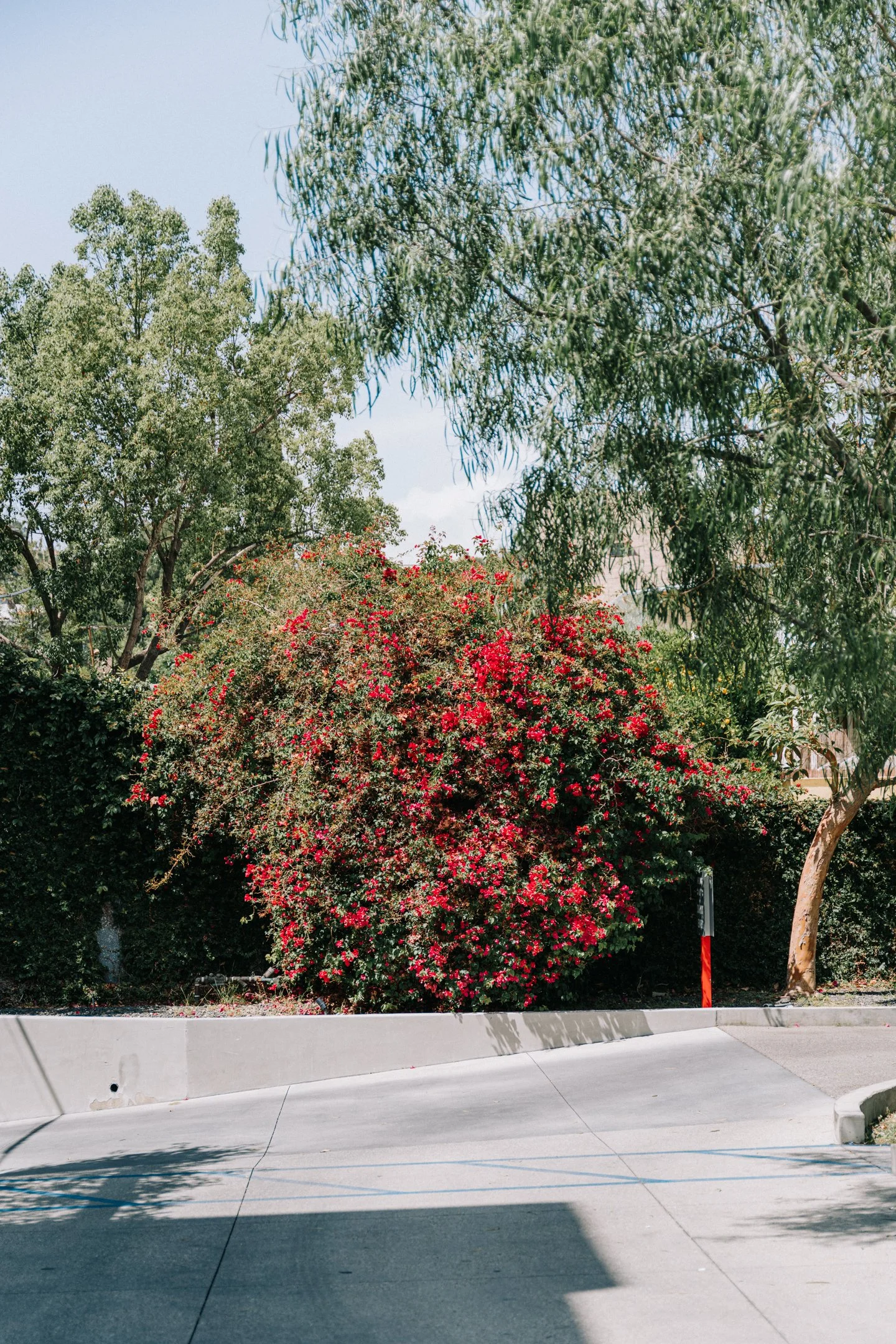BA404889.jpg
