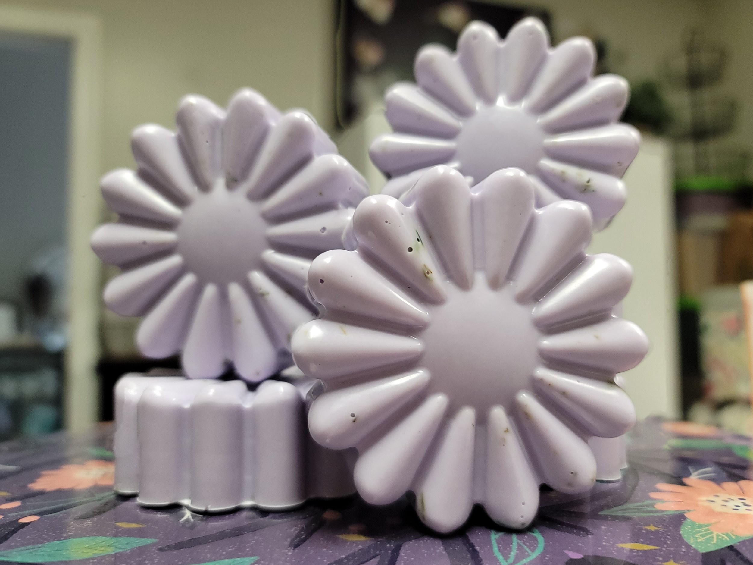 Soap Bars