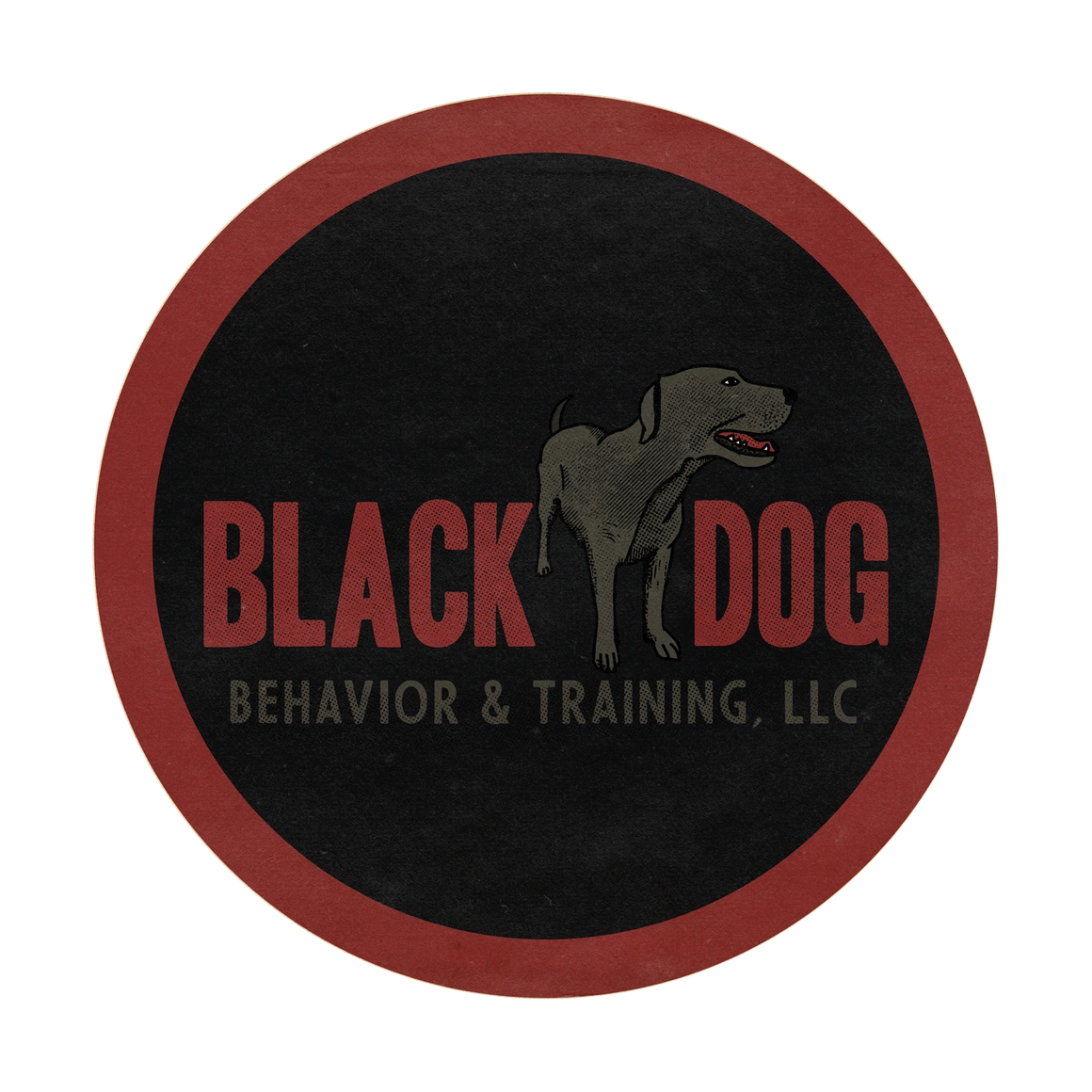Black Dog Behavior and Training