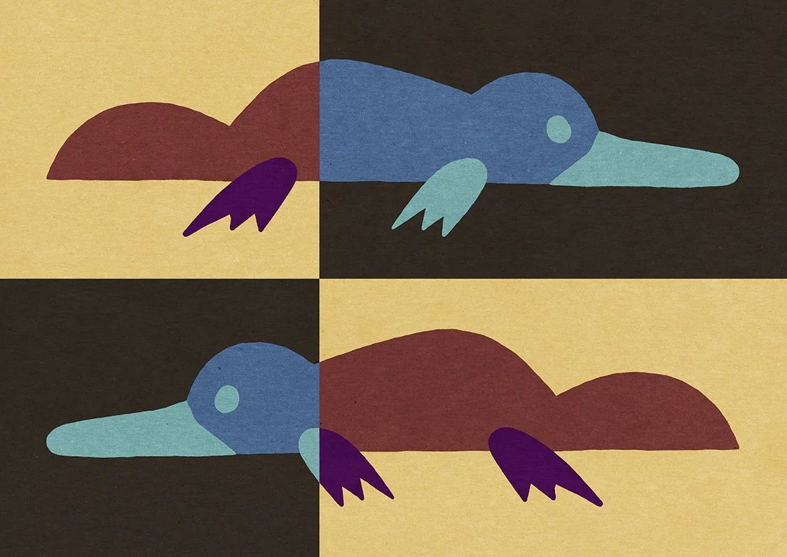 Platypus_Landscape-web.jpg