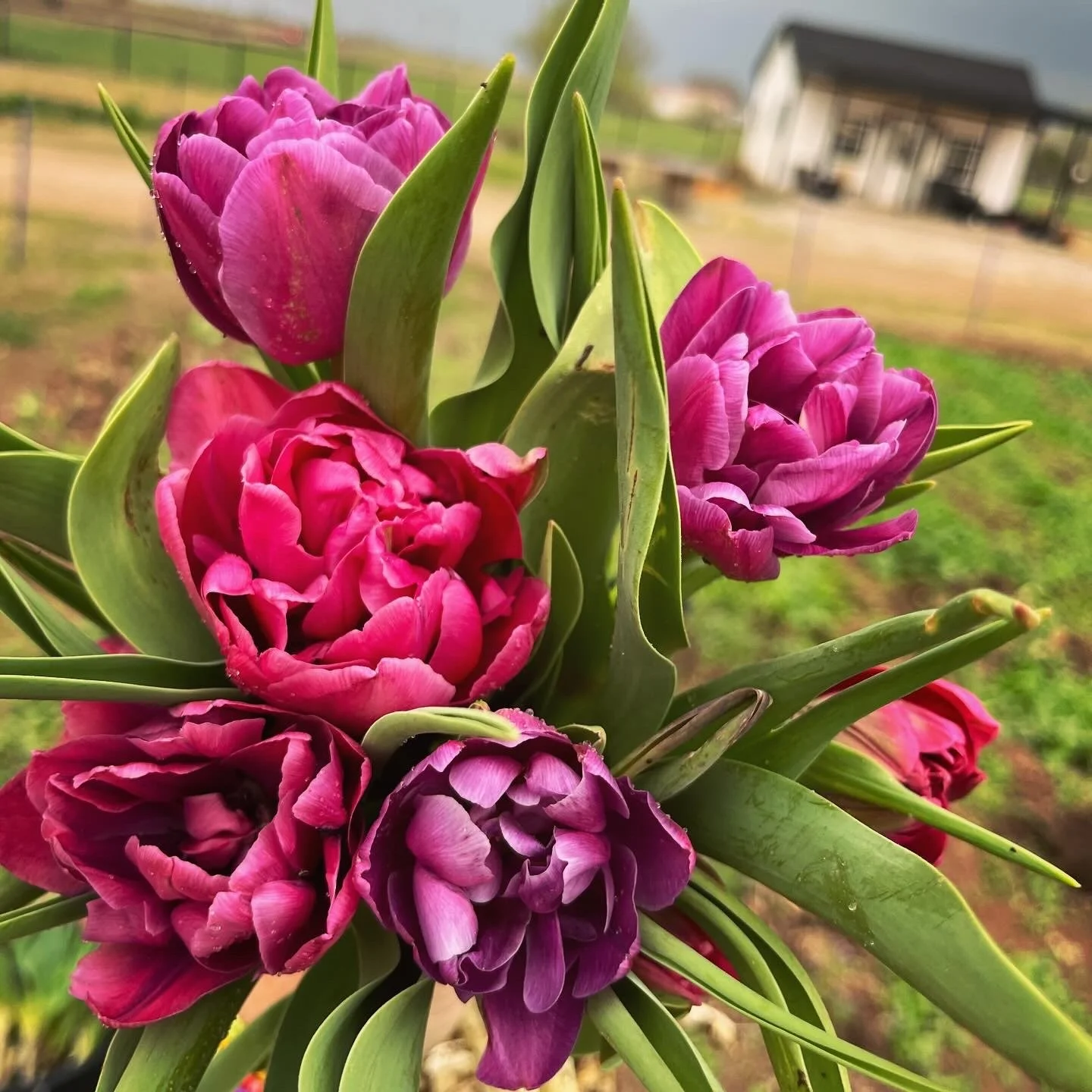 7D84B56D-54E5-4FB4-8CC2-7F107EB0597C copy.jpeg