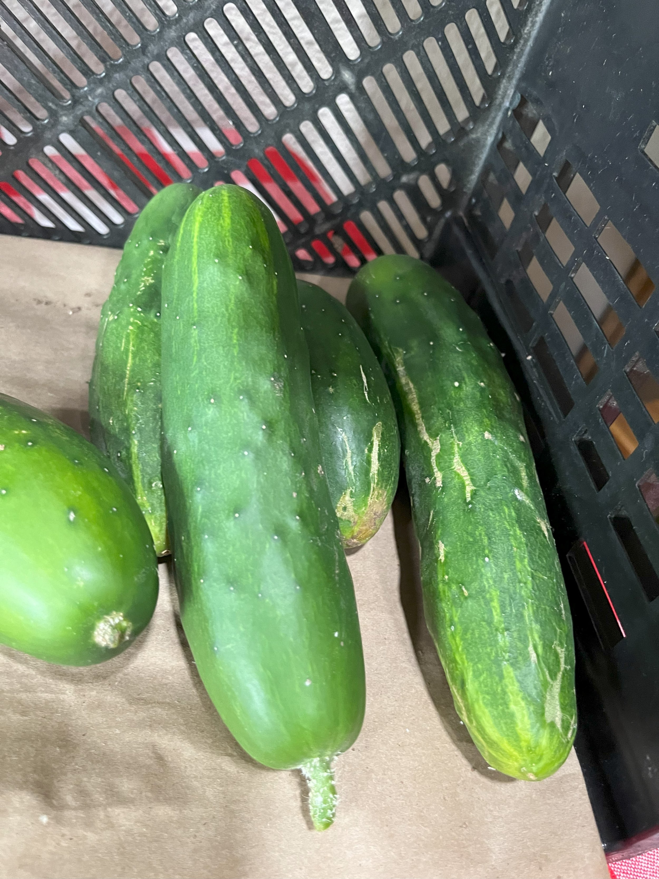cukes.jpeg
