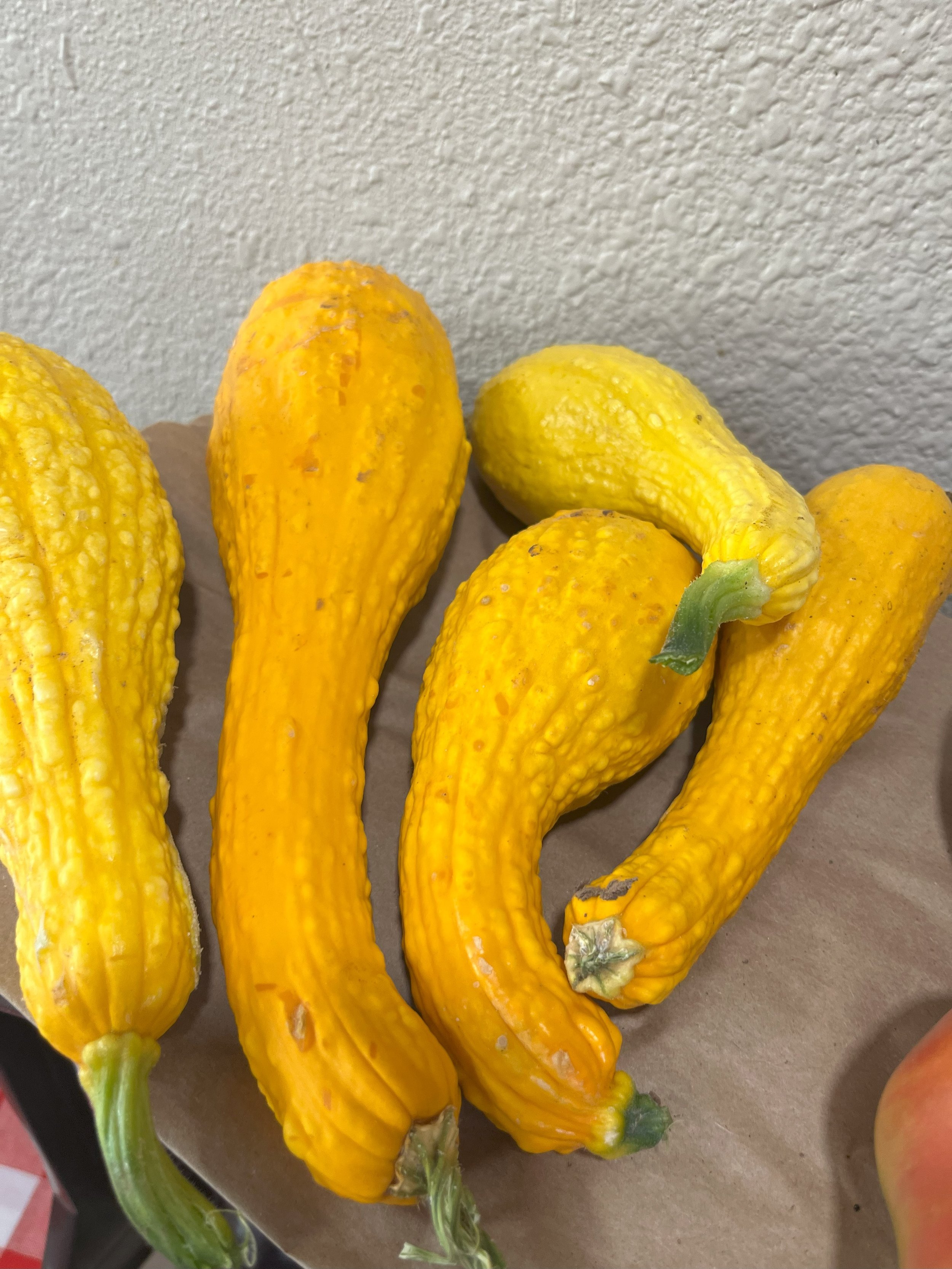 squash.jpeg