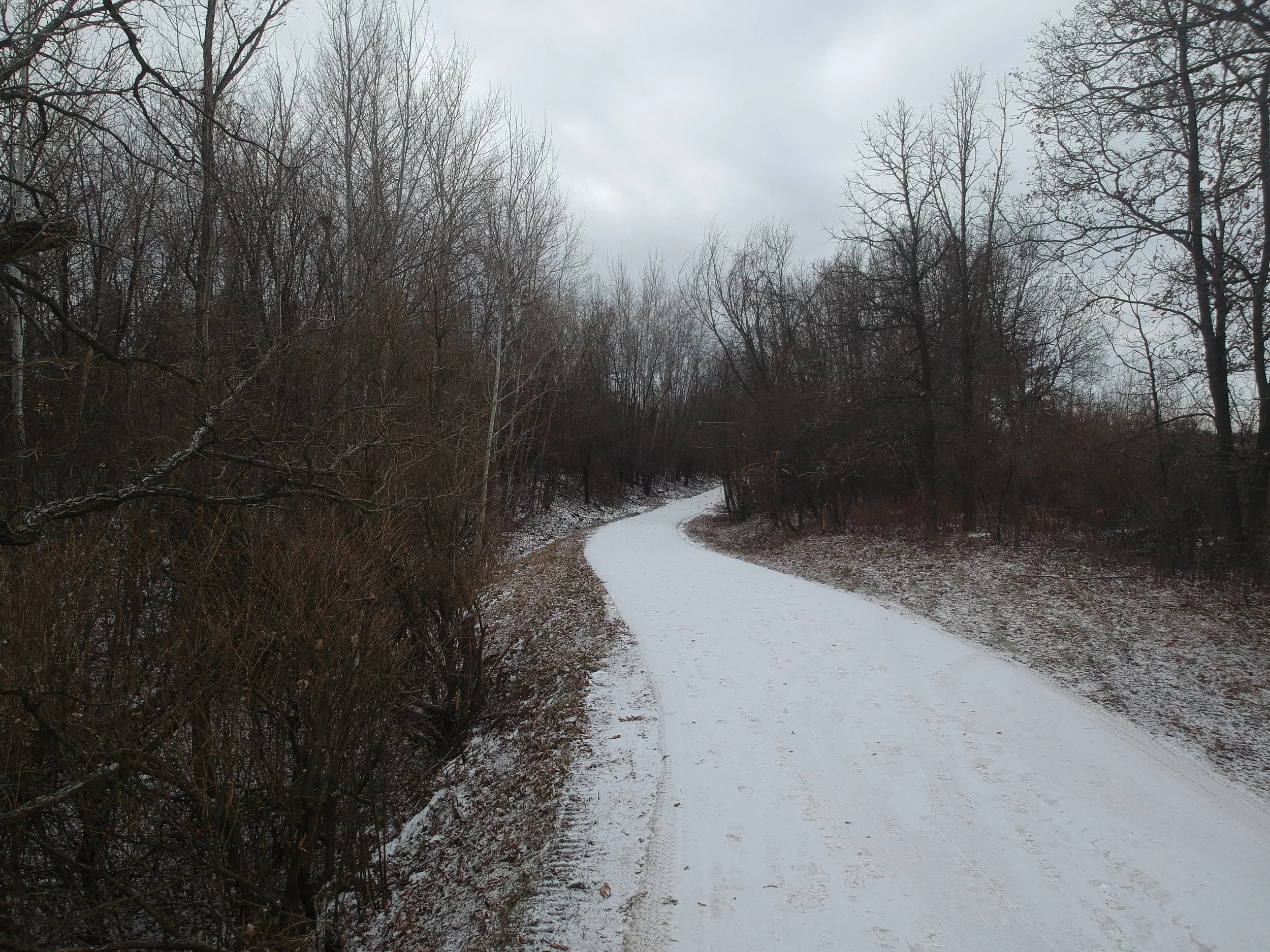 Snow-covered winding dirt trail through leafless trees on overcast winter day.