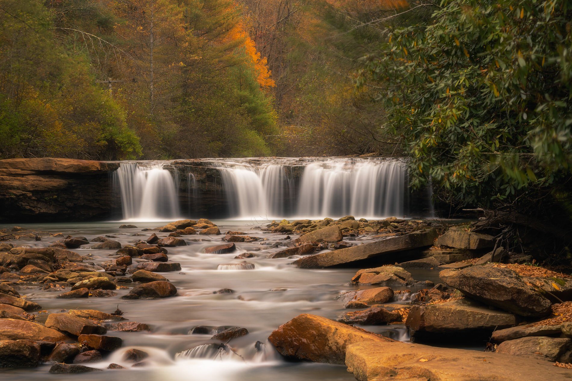albert-falls.jpg