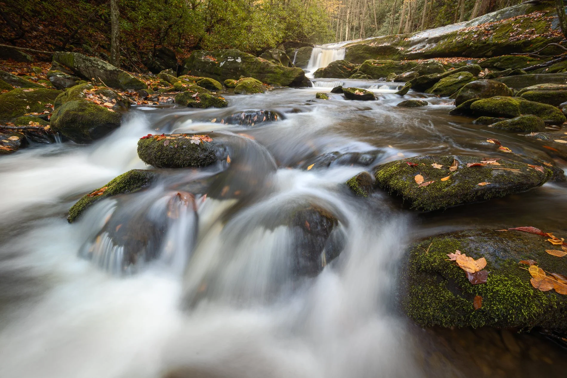 autumn-stream-great-smoky-mountains.jpg