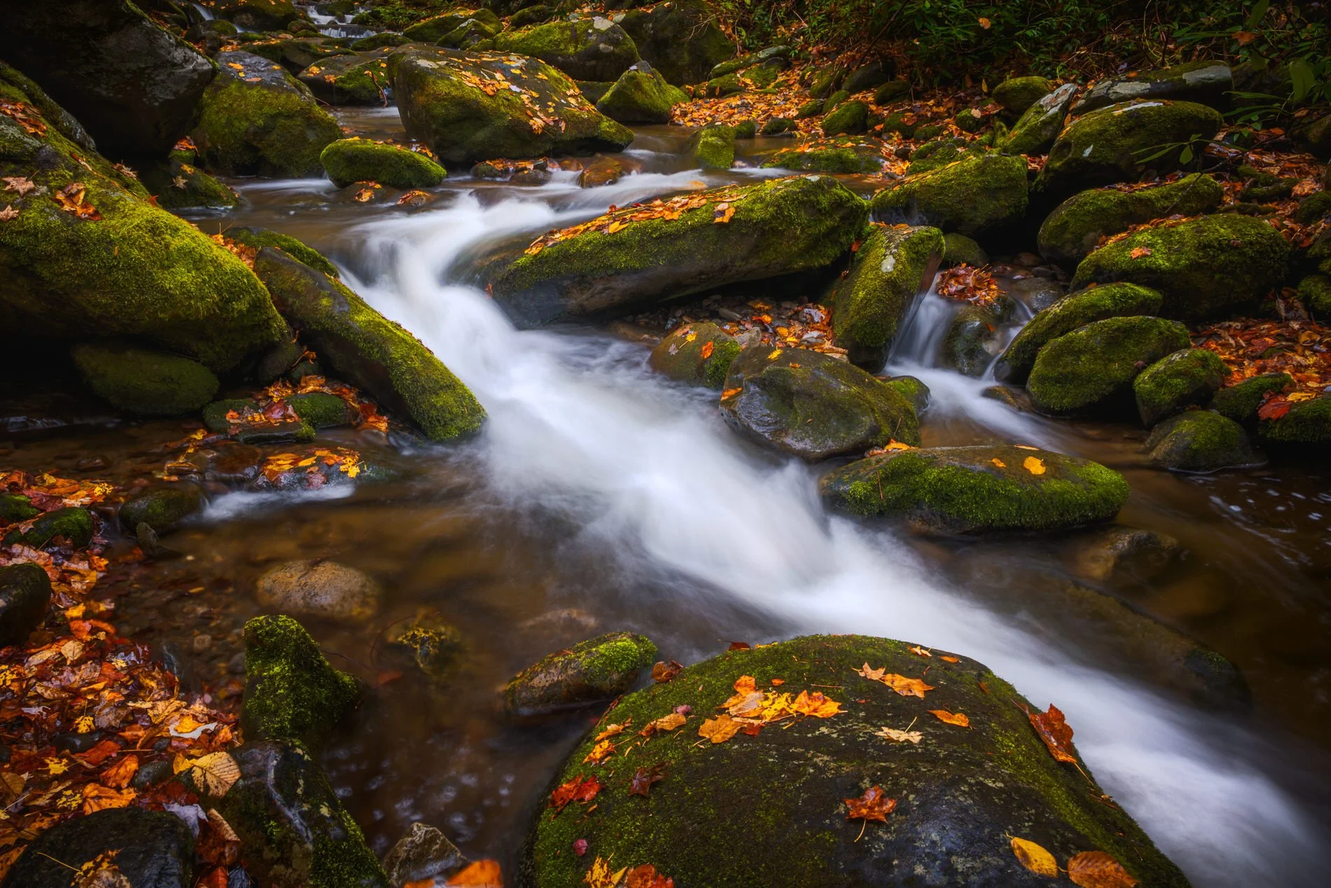 great-smoky-mountains-autumn-stream.jpg