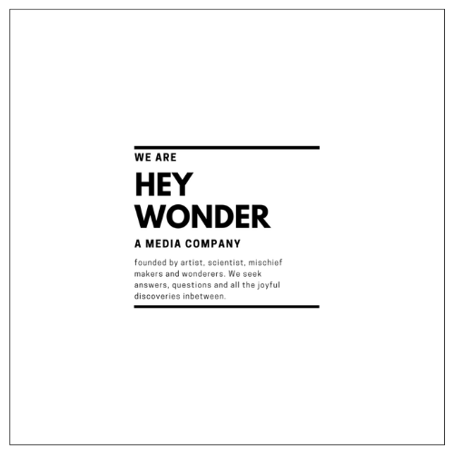 HEY WONDER LOGO IDATX.png
