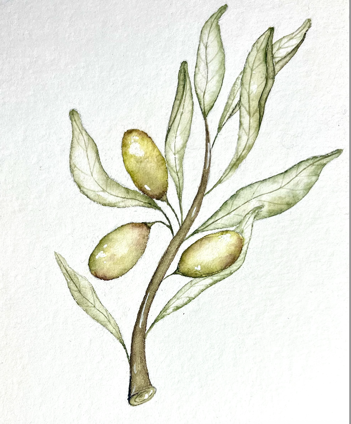 Screenshot 2025-12-23 at 1.13.31 PM.png