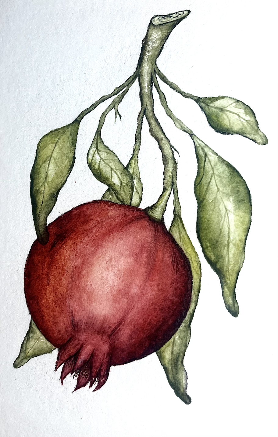 Screenshot 2025-12-23 at 1.14.49 PM.png