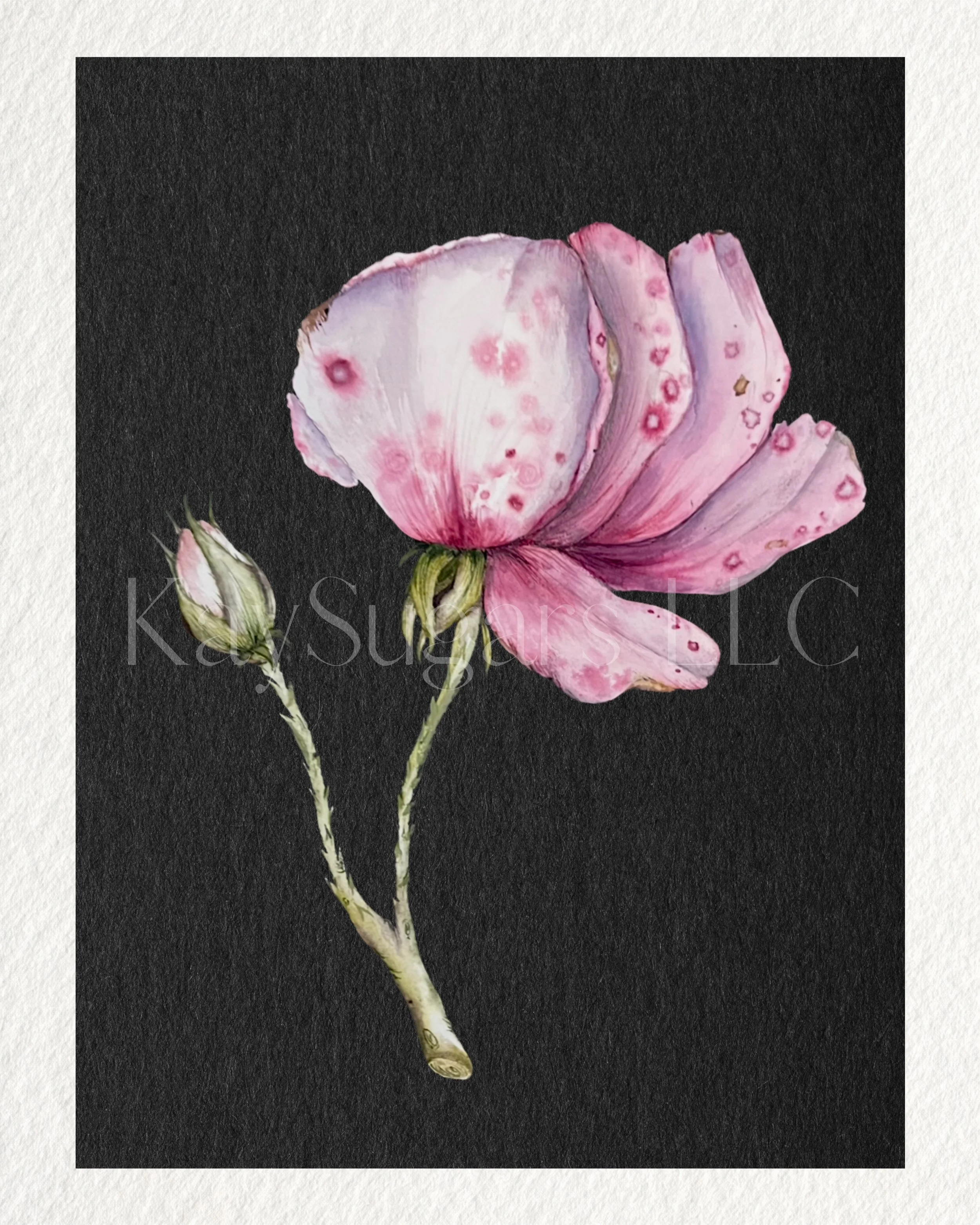 roseprint.jpg