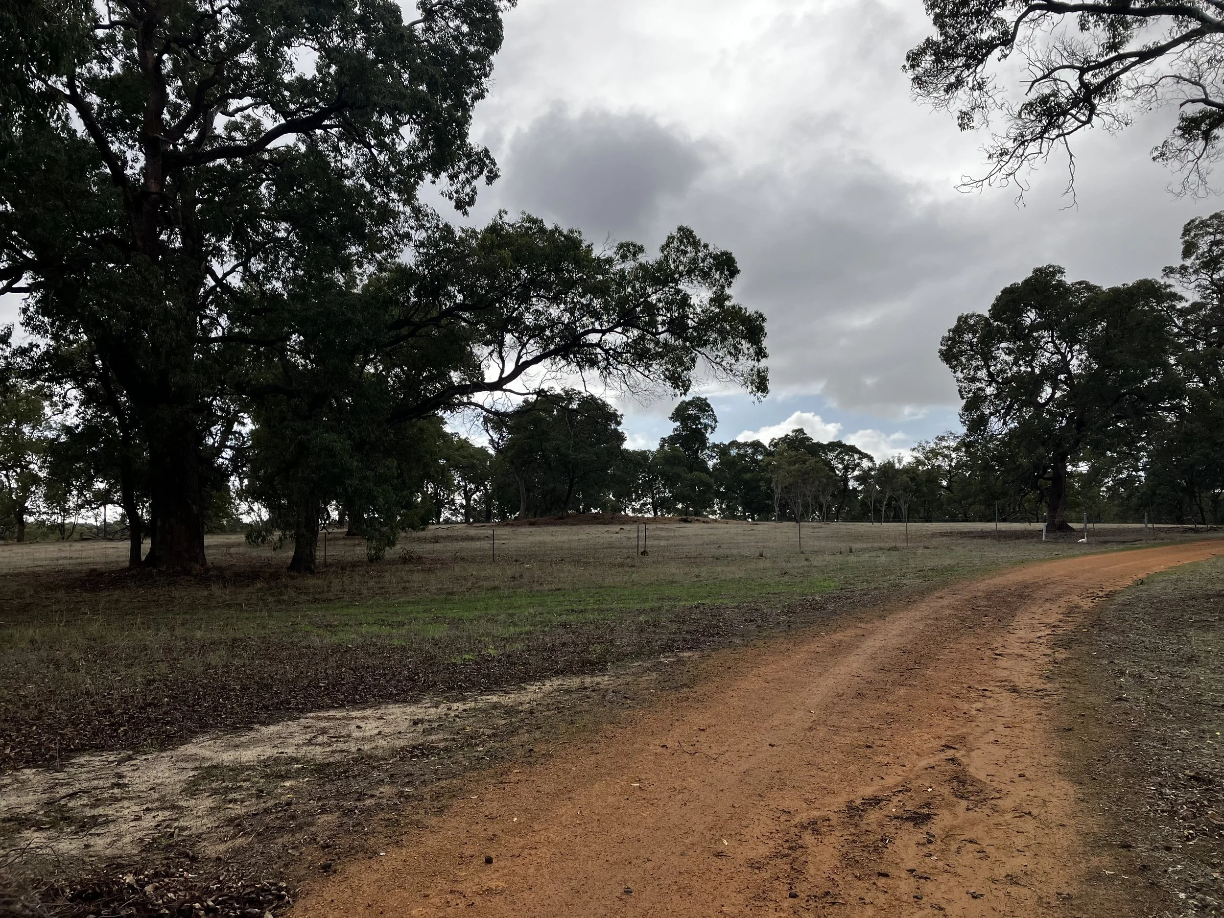 Call for Expressions of Interest: Yued Farm Steering Committee