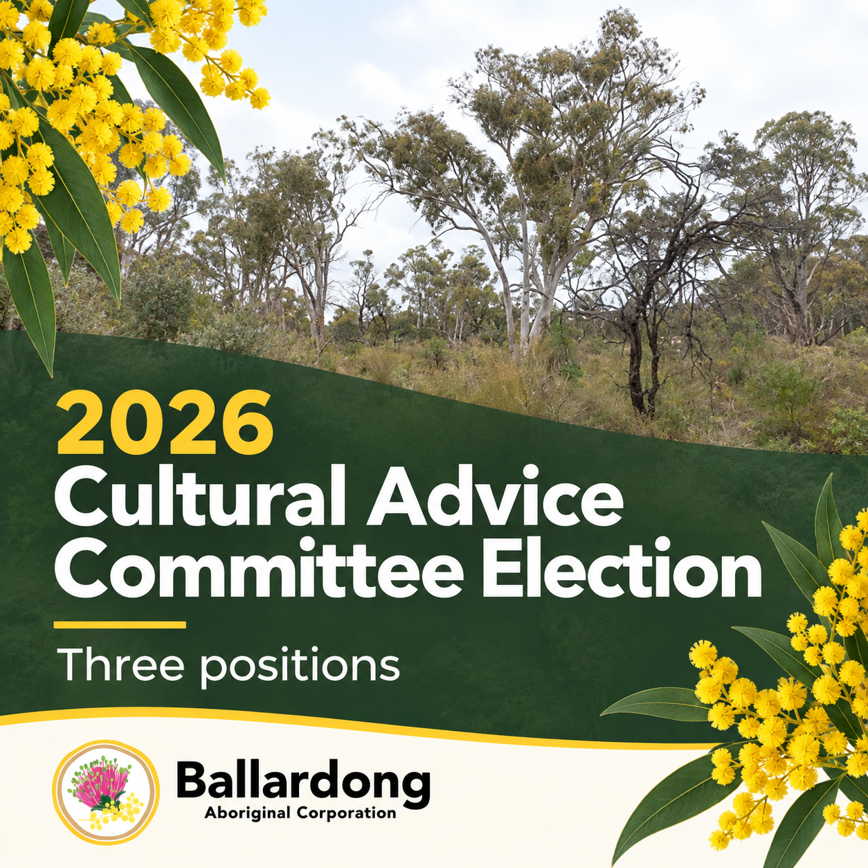2026 Cultural Advice Committee Member Elections - Nominations Open 30 September 2026