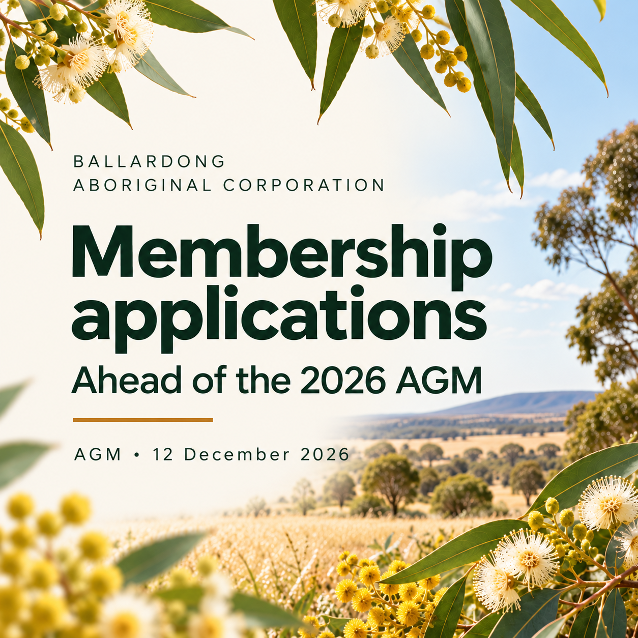 Membership applications ahead of the 2026 AGM