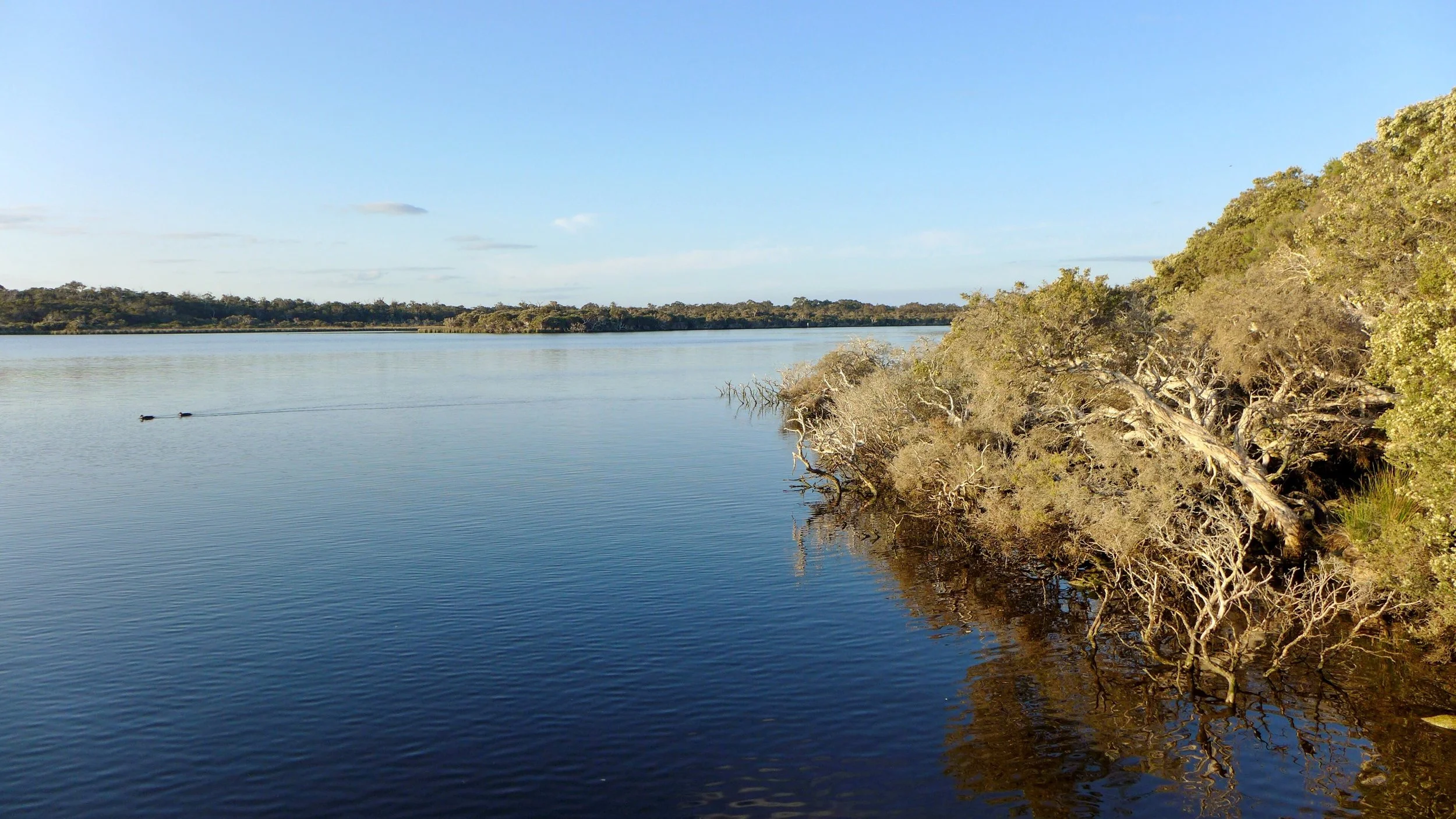 MEDIA STATEMENT: State unlawfully removes Protections for Registered Heritage Site, Blackwood River