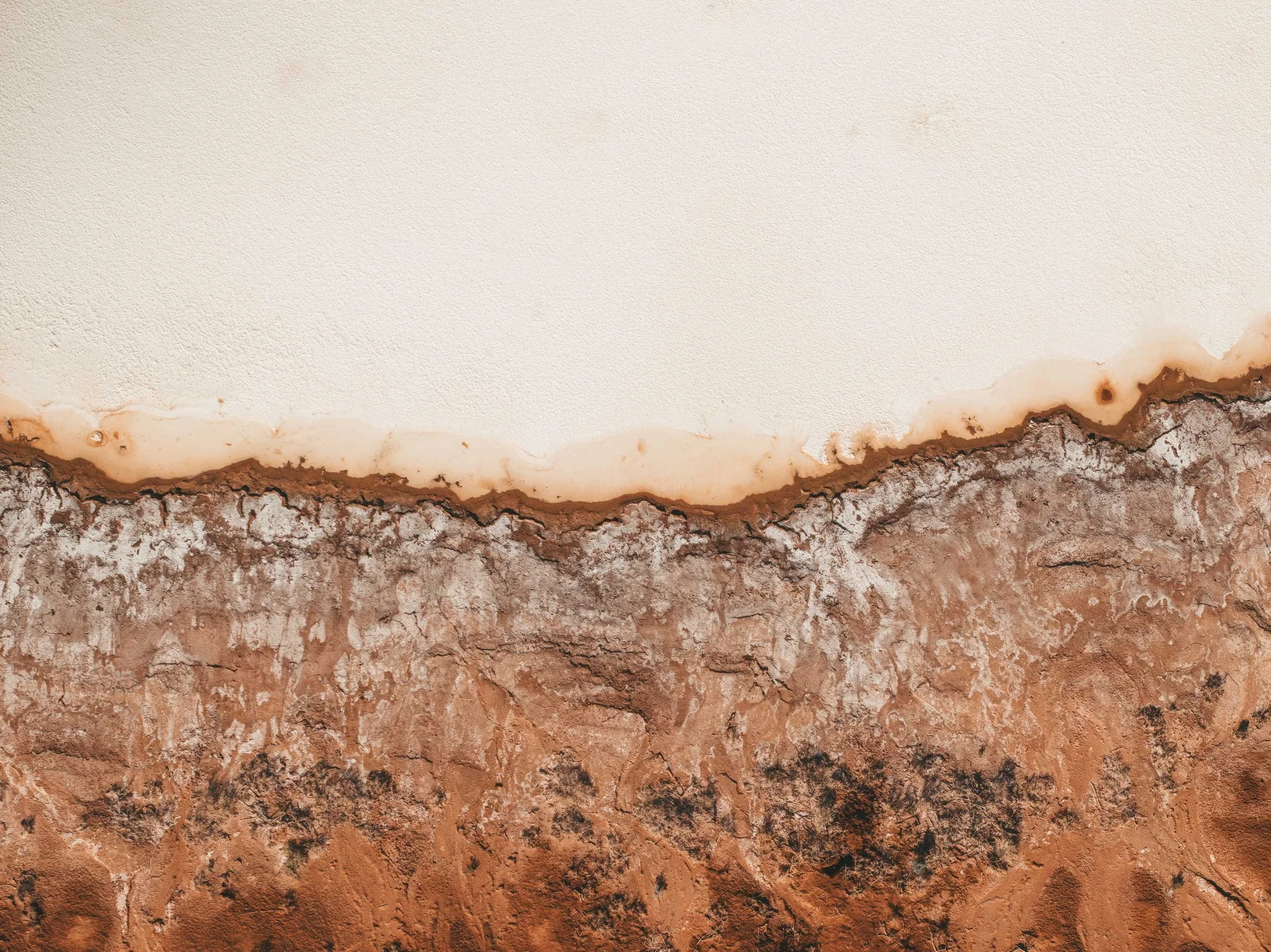 Have your say on our Healthy Country Plan