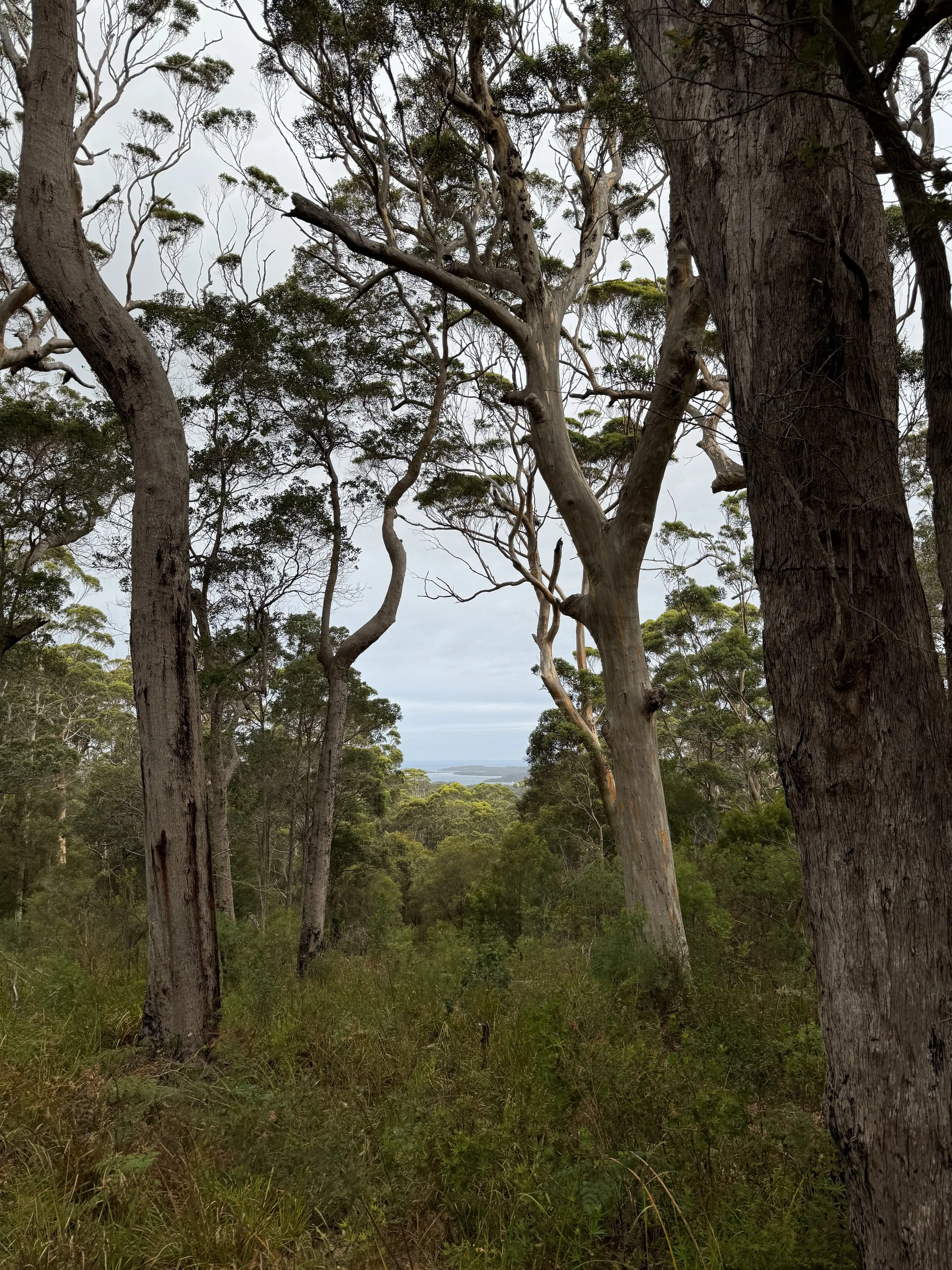Geometric drawing of an outline square with sections divided by vertical, horizontal, and diagonal lines.