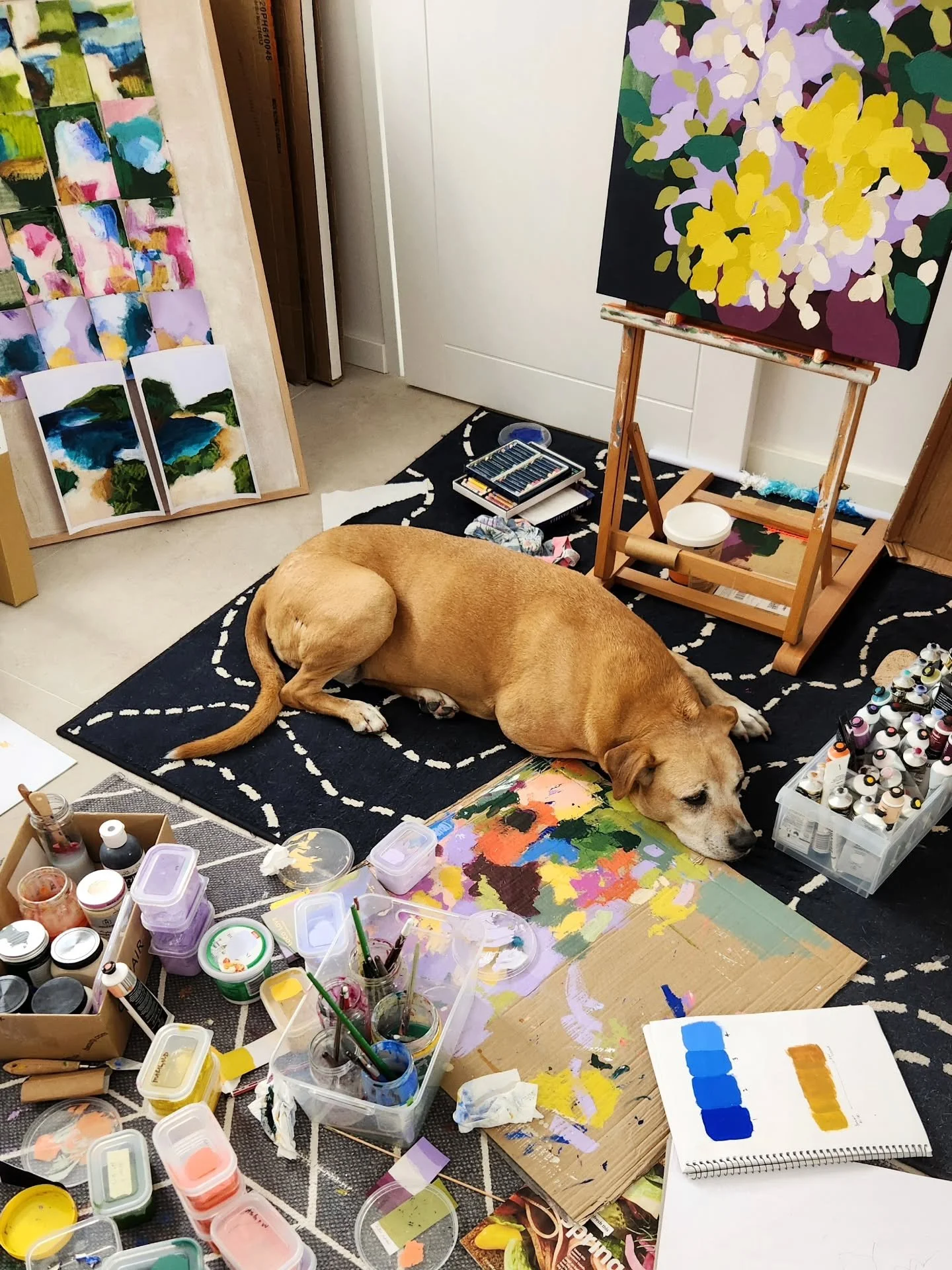 A few words can be used to describe my October - hectic, fun, momentus, sad.

We spent two weeks as a family driving up north, visiting Geraldton, Coral Bay, Denham, and Kalbarri, exploring a part of the stunning WA coastline. We ate, swam, snorkled,