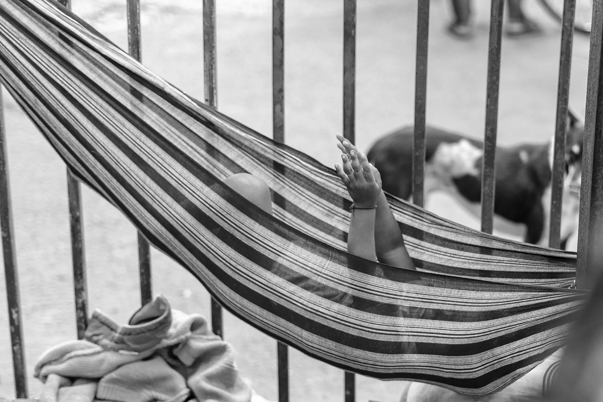 A street image of a baby in a makeshift crib with a dog looking on.