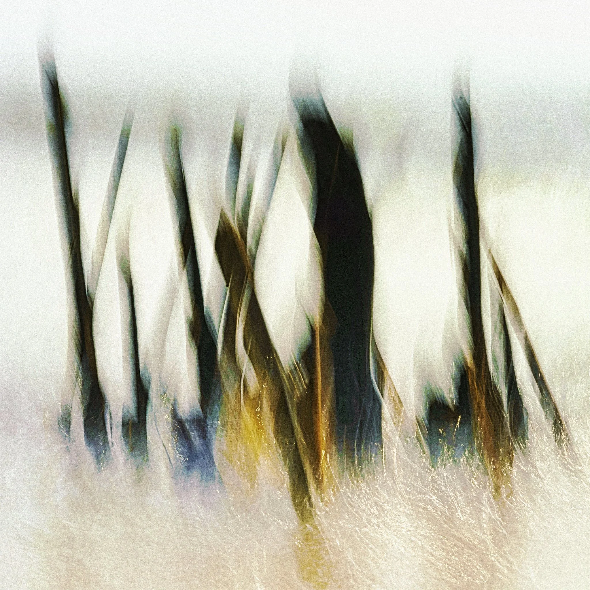 20 Ideas for Creating Abstract Art With a Mirrorless Camera — Craig Boehman