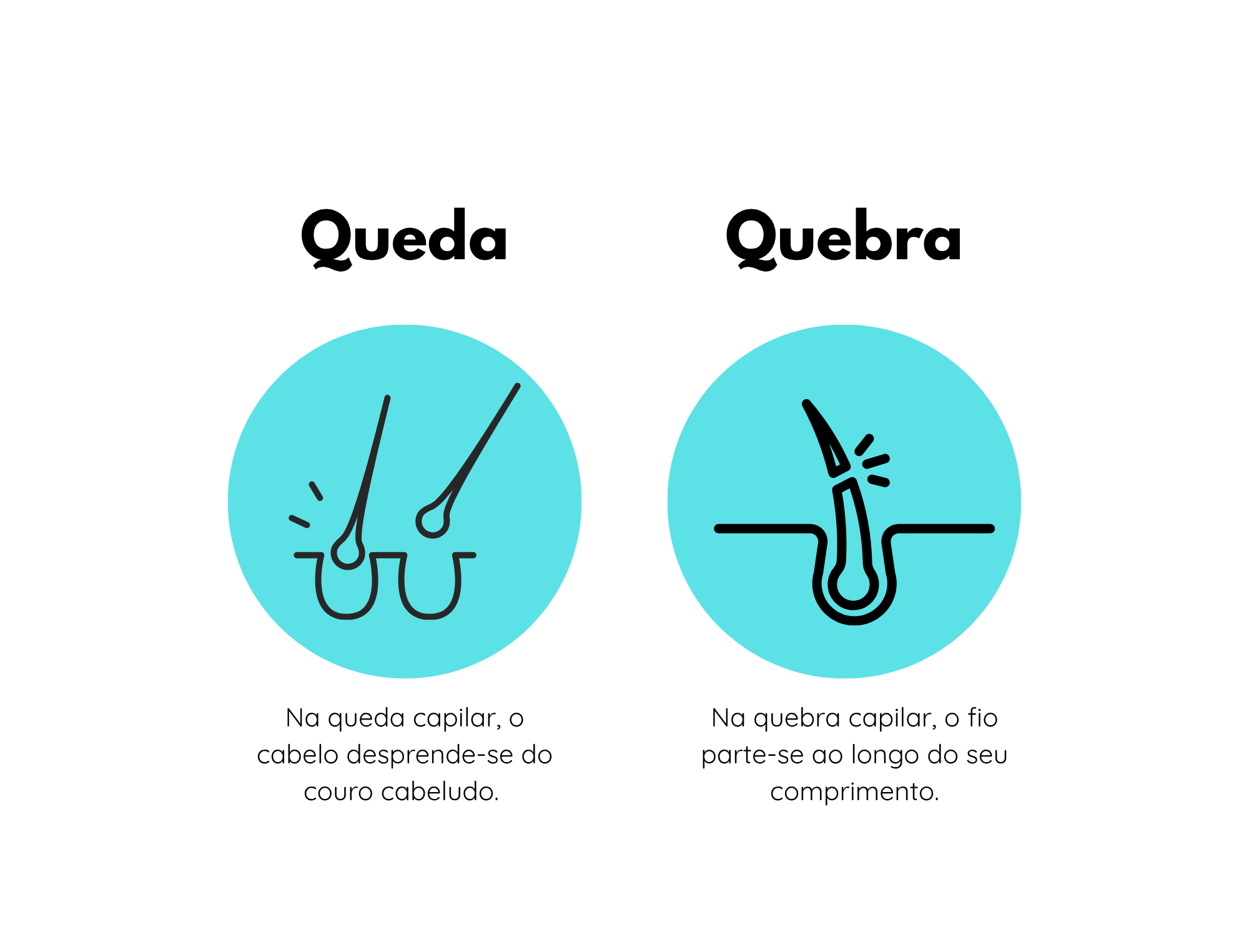 Infografia sobre a diferença entre queda e quebra capilar: na queda, o cabelo desprende-se do couro cabeludo; na quebra, o fio parte-se ao longo do comprimento.