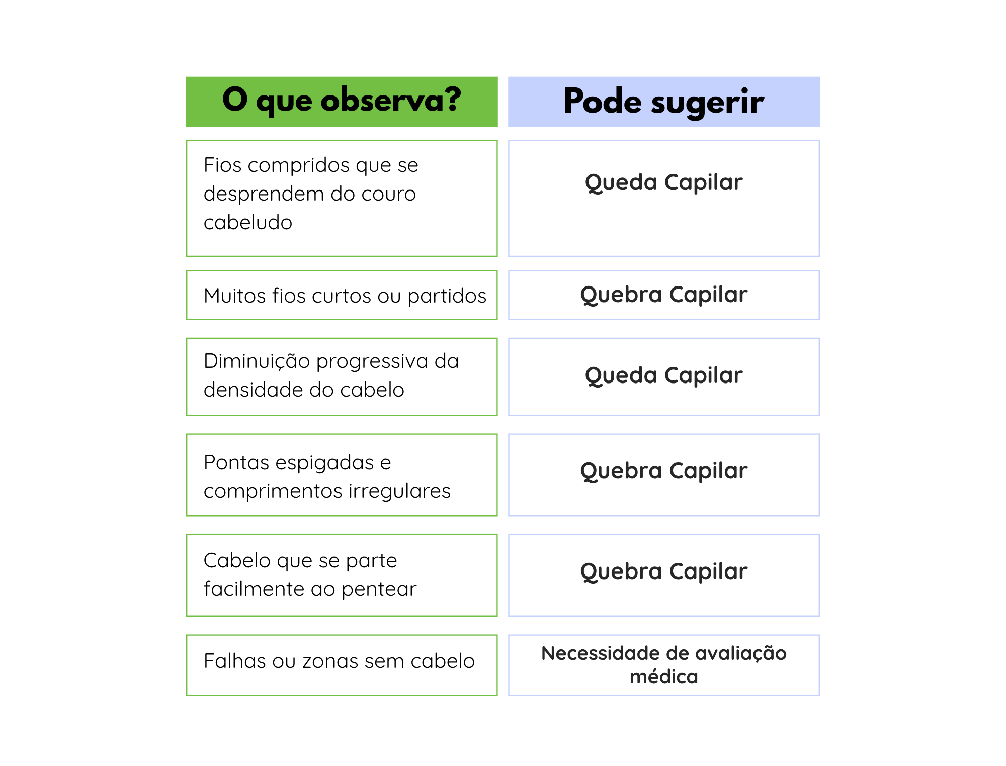Infografia com os principais sinais para distinguir queda de cabelo, quebra capilar e situações que necessitam de avaliação médica.