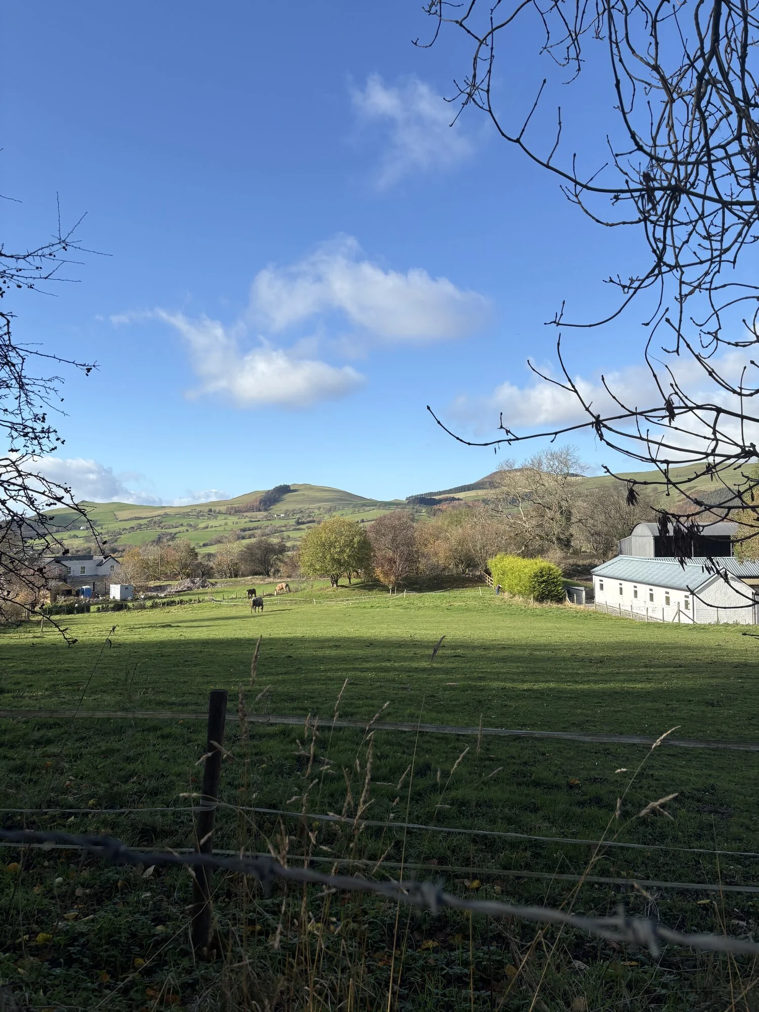 Bryn-Difyr-Photo-10-web.jpg
