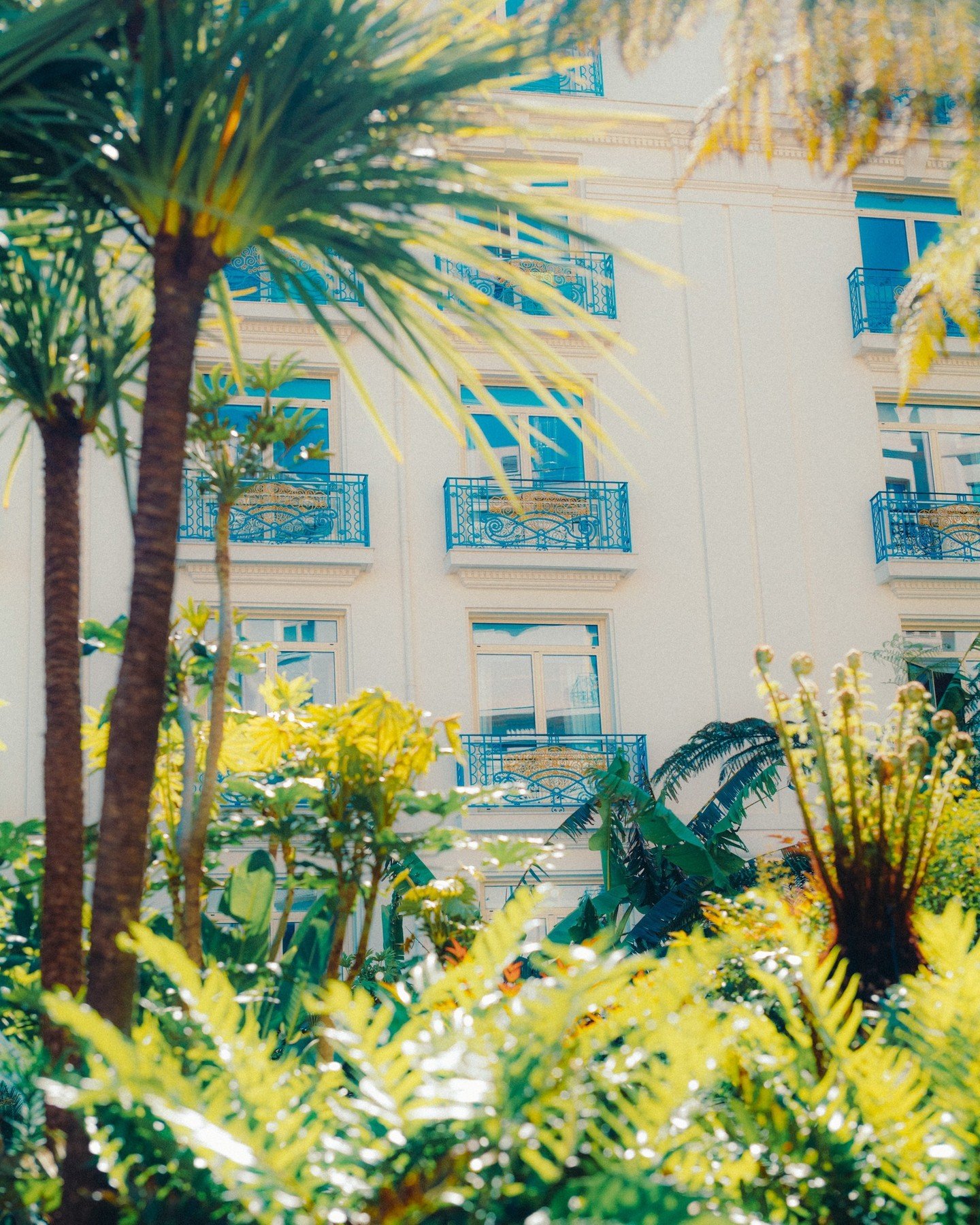 Au c&oelig;ur de la Croisette, le jardin de l&rsquo;Oasis r&eacute;v&egrave;le un havre de s&eacute;r&eacute;nit&eacute;.
Un refuge rare o&ugrave; le temps ralentit, &agrave; l&rsquo;abri du monde.
-
In the heart of la Croisette, l'Oasis du Martinez 