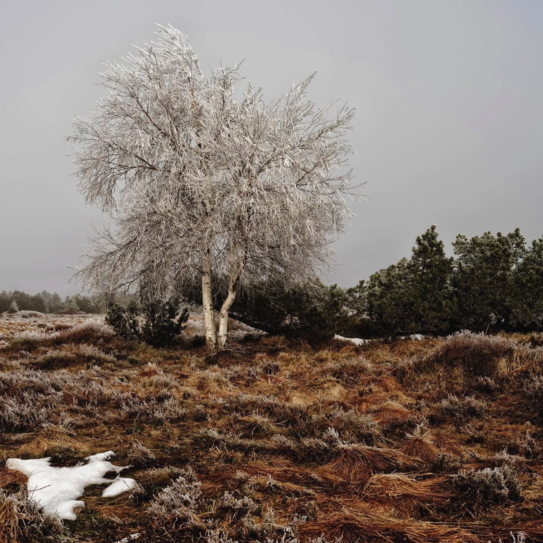 Schliffkopf_Eis_0049_HDR_Printing.jpg