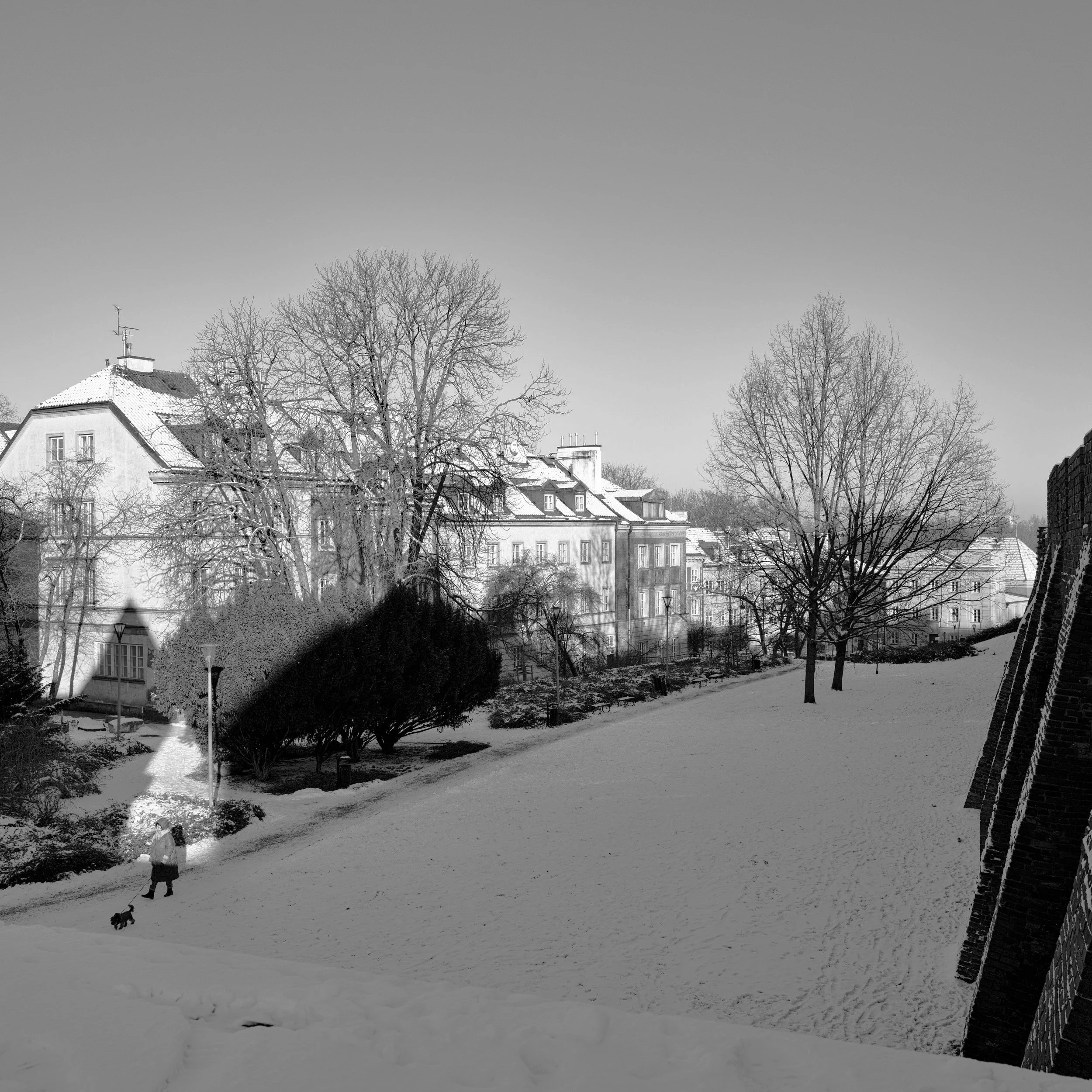 L1000613.jpg