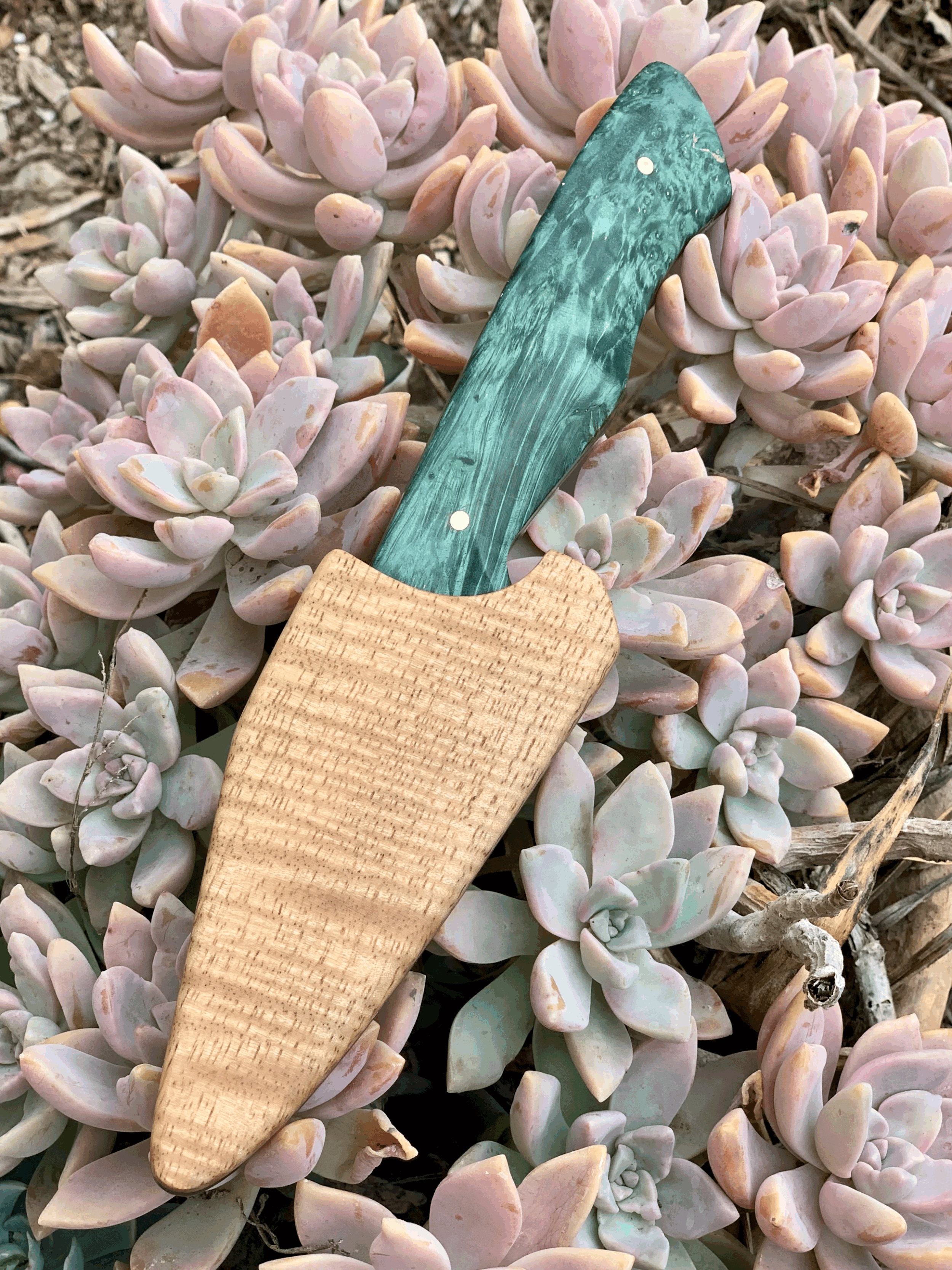 tempImageND96wH.gif