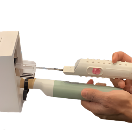 Prostate Phantom with Lesions (Freehand)