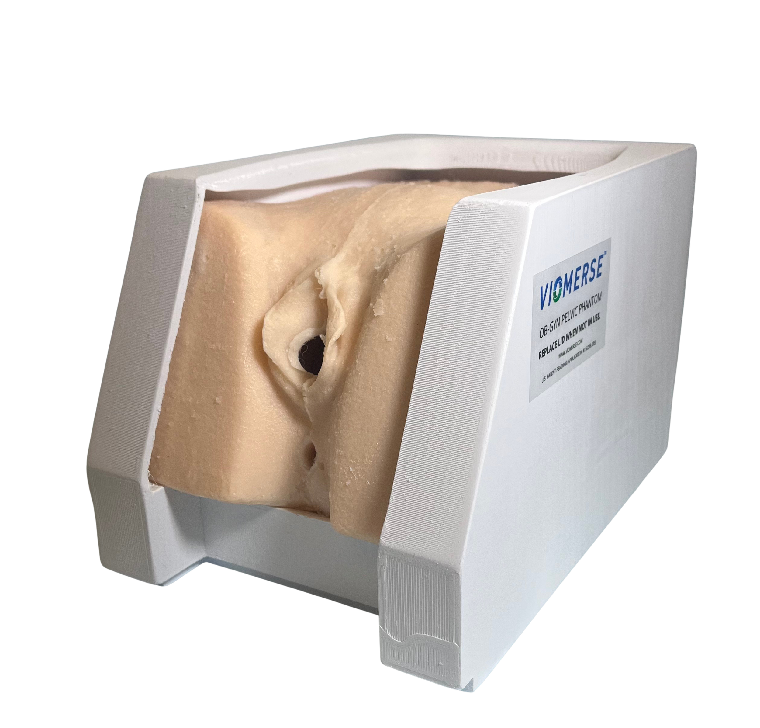 Synthetic pelvic training model containing small tumor, vagina, vaginal canal, cervix, uterus, urethra, bladder, and rectum. For training standard gynecological exams, hysteroscopy and ablation.