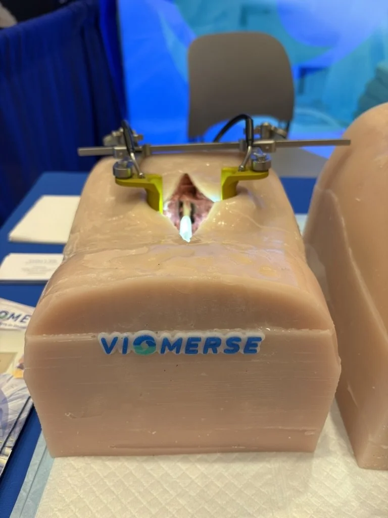 Tabletop demonstration of realistic thoracolumbar spine phantom training model. Compatible with X-Ray imaging.