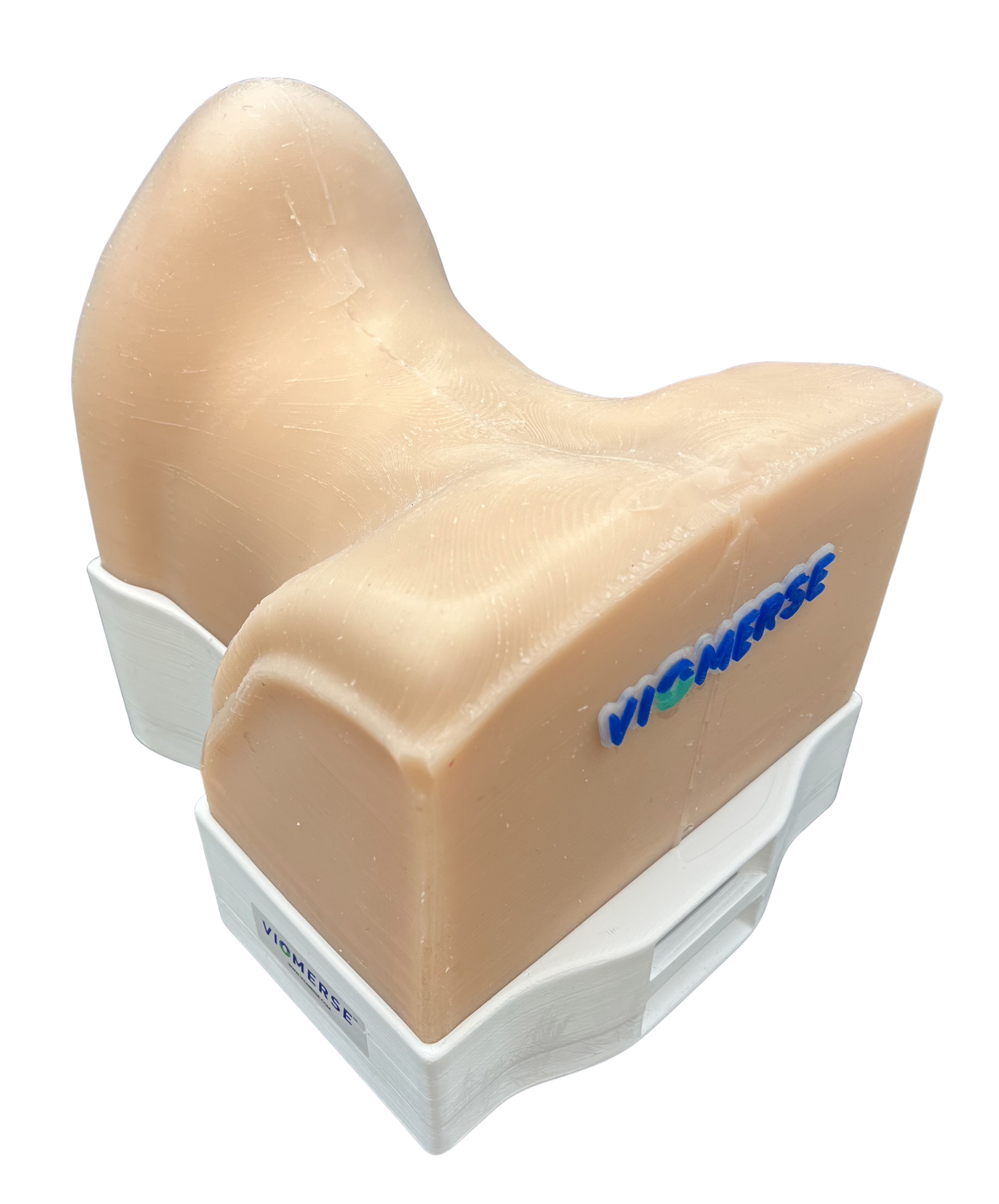 Realistic model phantom of Anterior Cervical Spine containing Occiput - T2 designed by Viomerse