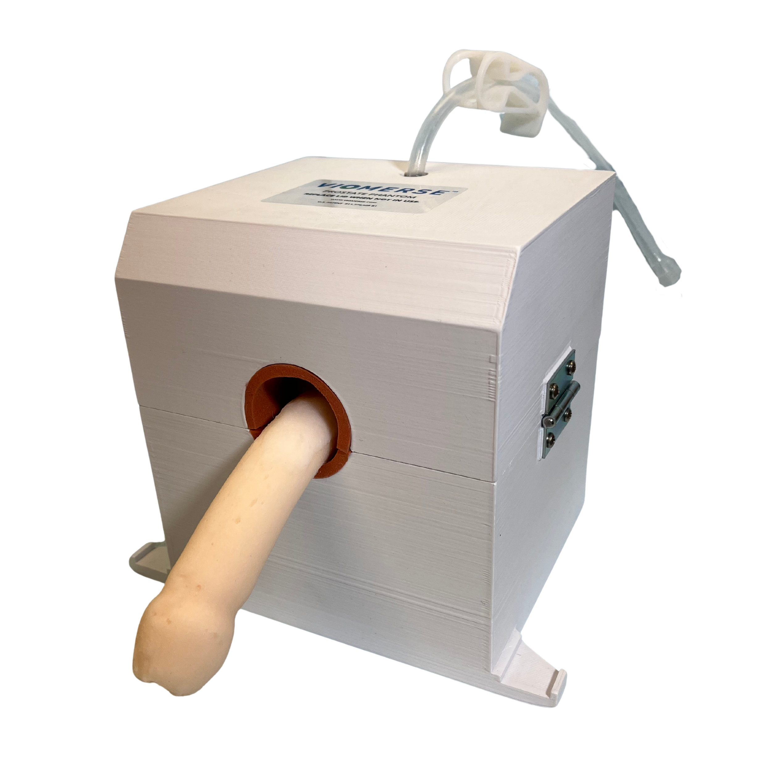 Bladder Outlet Obstruction Phantom