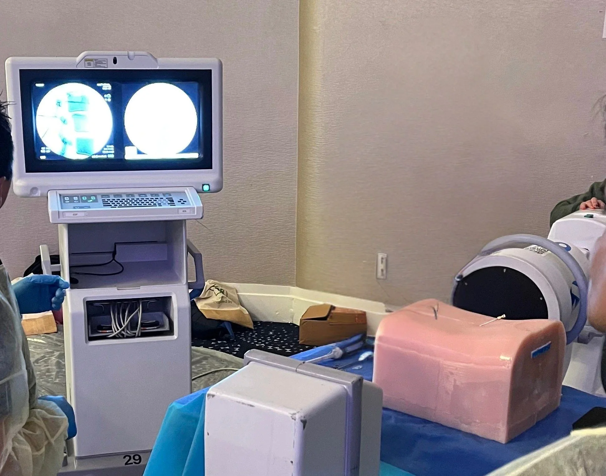 TL-+IVS - Edited.jpg