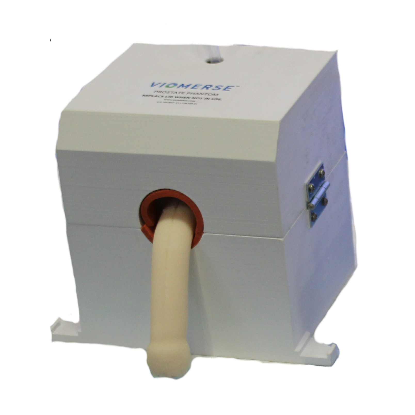 Bladder Tumor Resection Phantom