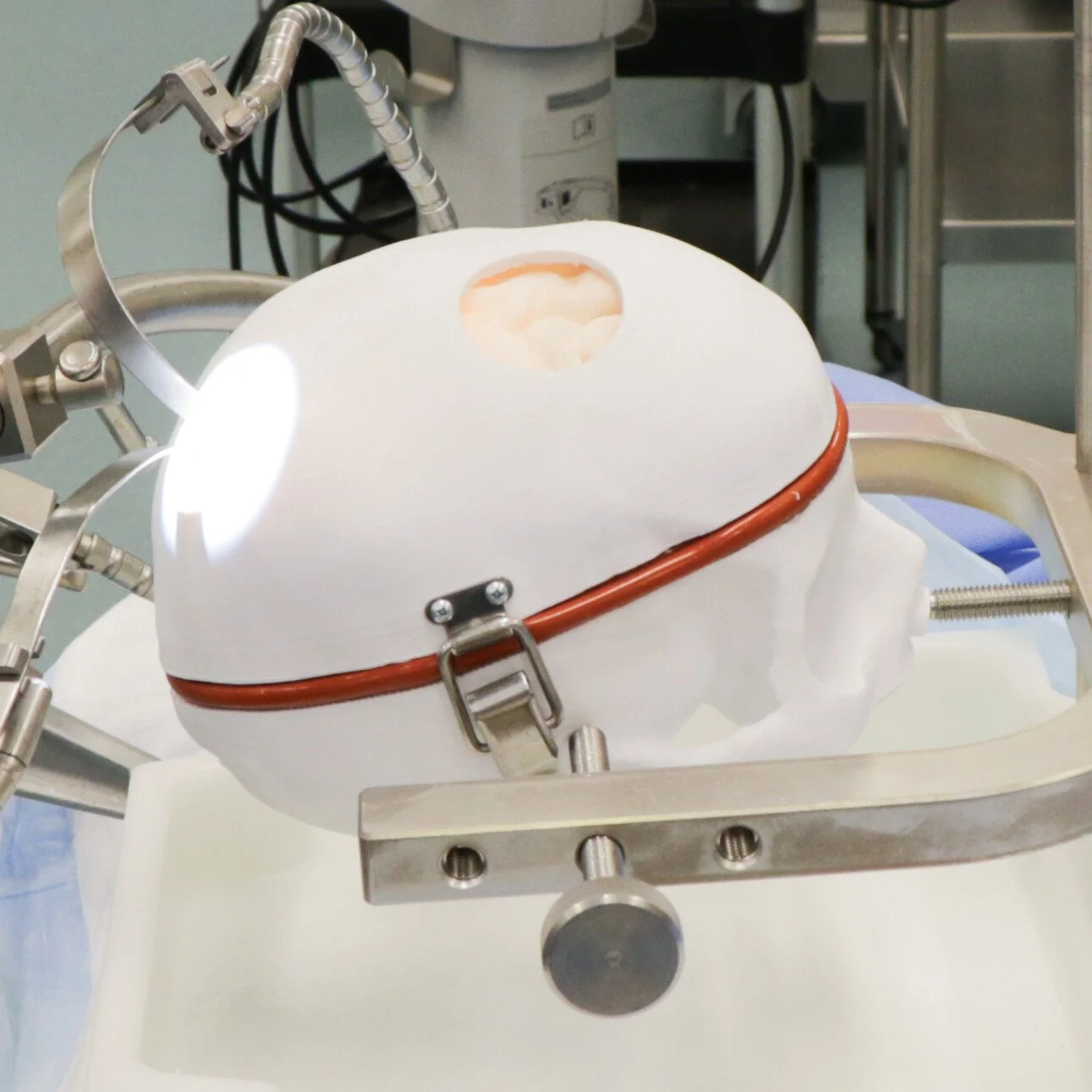 Synthetic brain with 4 resectable subcortical brain tumors contained within a plastic skull. Tumors compatible with fluorescent imaging.