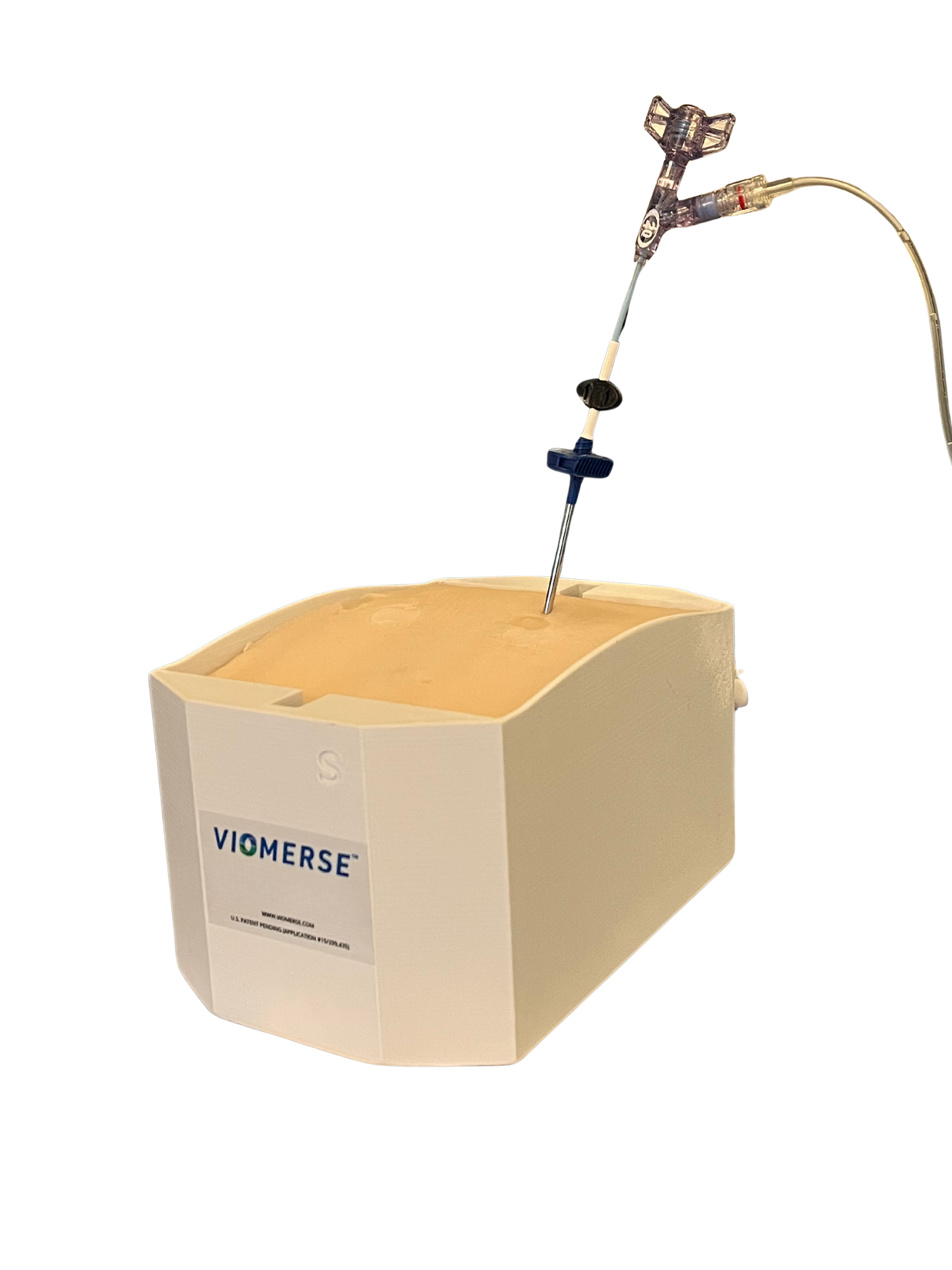 Realistic synthetic spine training model containing T7 through T12 vertebrae, with vertebral compression fractures requiring kypholasty for device validation.