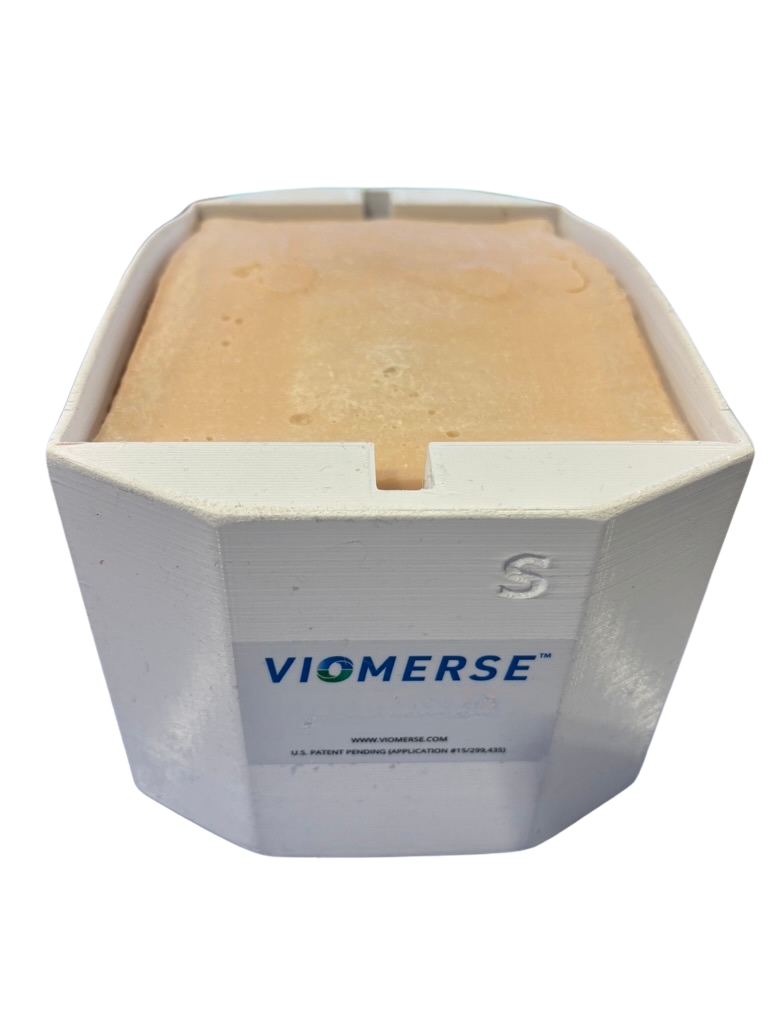 Radiopaque synthetic spine training model containing T7 through T11 vertebrae, with vertebral compression fractures requiring correction and treatment.