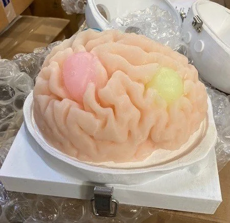 Resectable Cortical Brain Tumor Phantom.jpg
