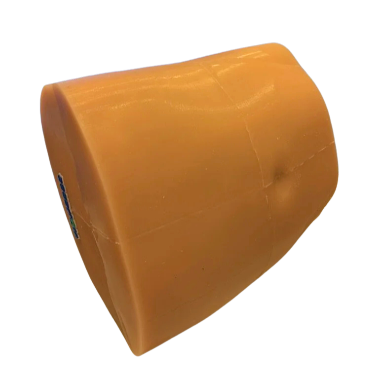 thoracolumbar spine multi approach - Edited.png