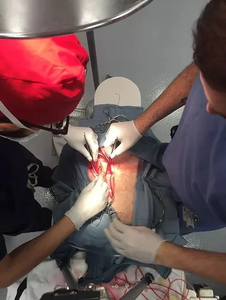 SIMULATED OPERATION.jpg