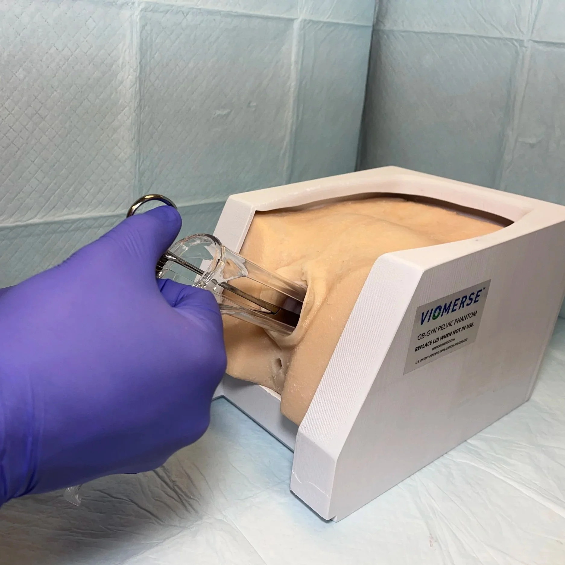OB GYN Pelvic Phantom