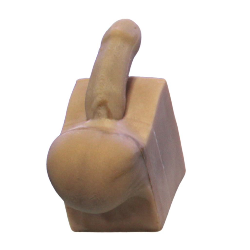 Penile Prosthesis Phantom (Basic)