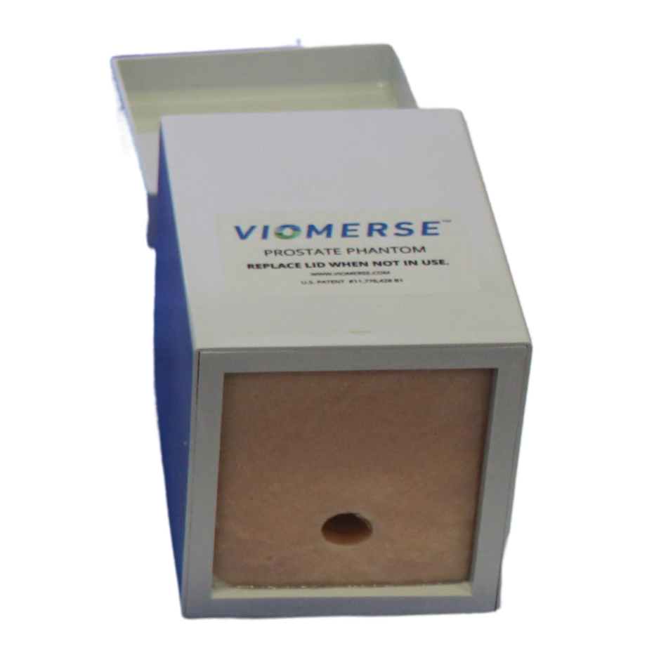 Prostate Phantom Without Lesions