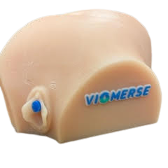 Viomerse OBGYN genitourinary system realistic model for ureteroscopy, cystoscopy, and lithotripsy training