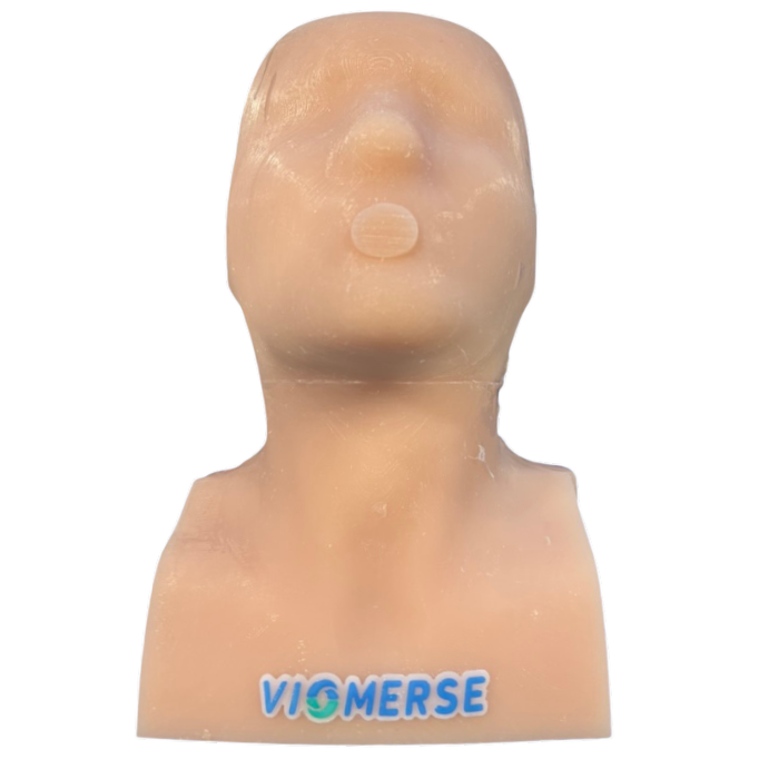 Multi-Approach Cervical Spine (Occiput - T2)