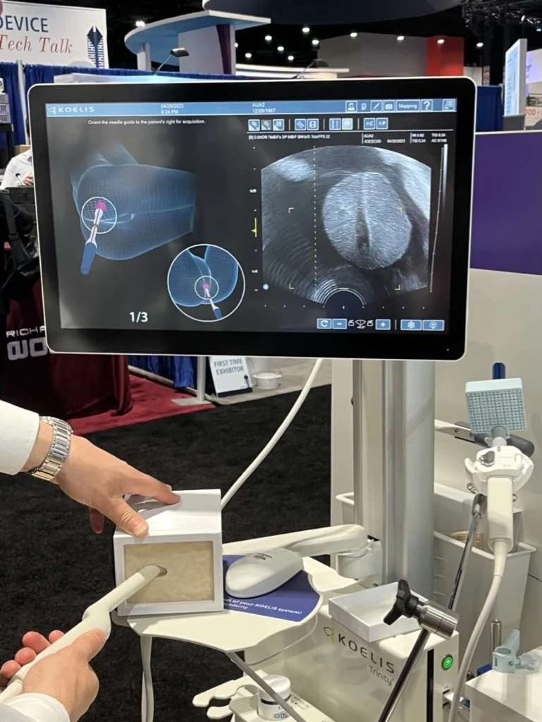 Viomerse's prostate phantom biopsy is demonstrated using probe and imaging software.
